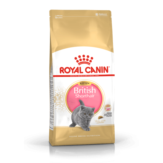 Royal Canin British Shorthair Kitten – Hrană Uscată pentru Pisici Tinere din Rasa British Shorthair – 10 kg